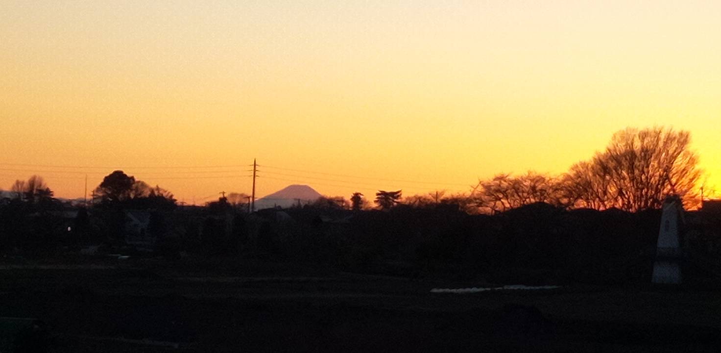 今年初の富士山