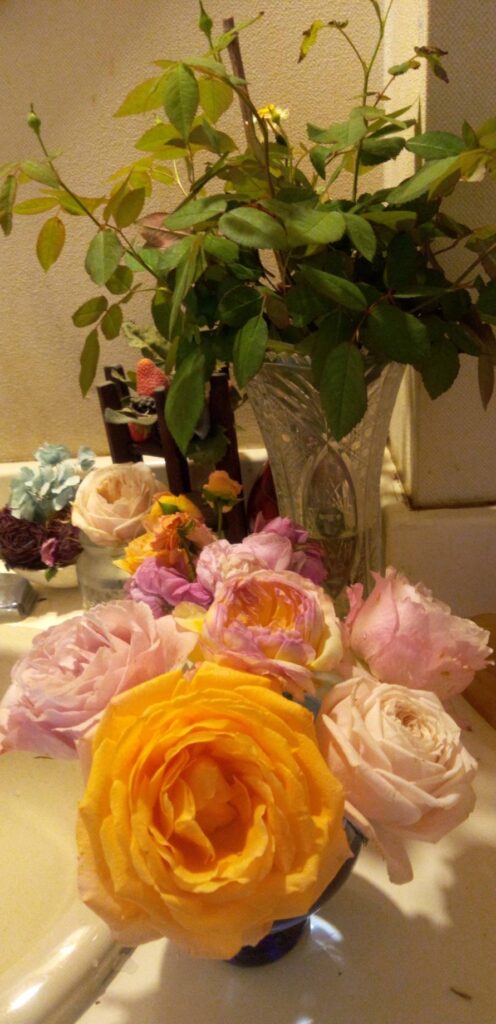 誕生日に贈られたバラの花束
