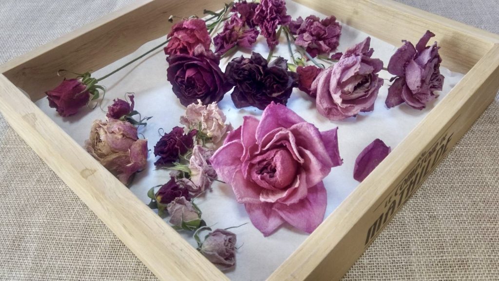 大切なバラをドライフラワーに