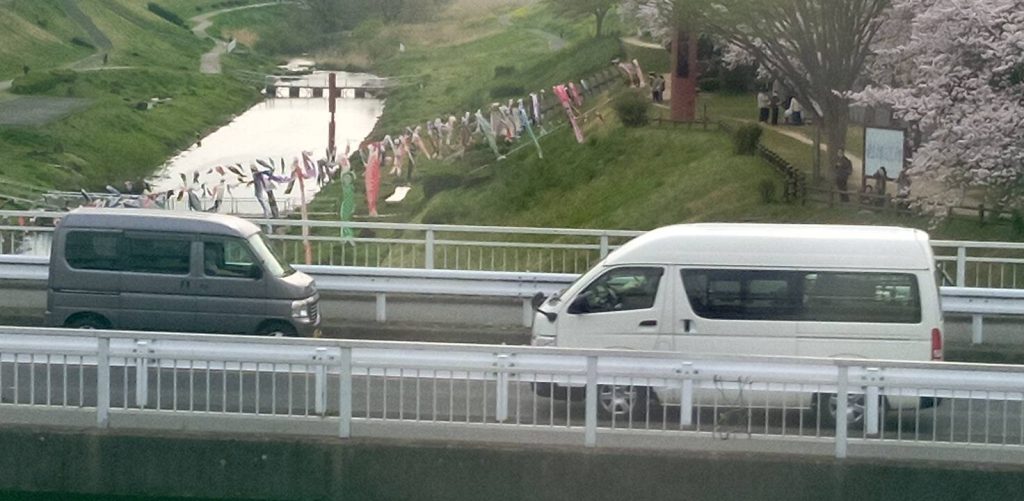 運河のこいのぼり