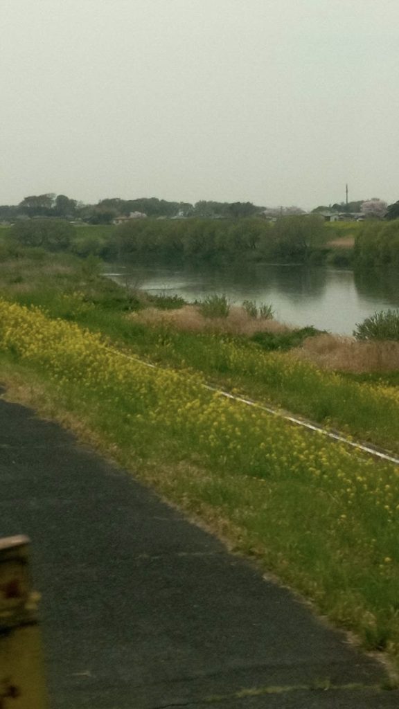 江戸川も渡りました