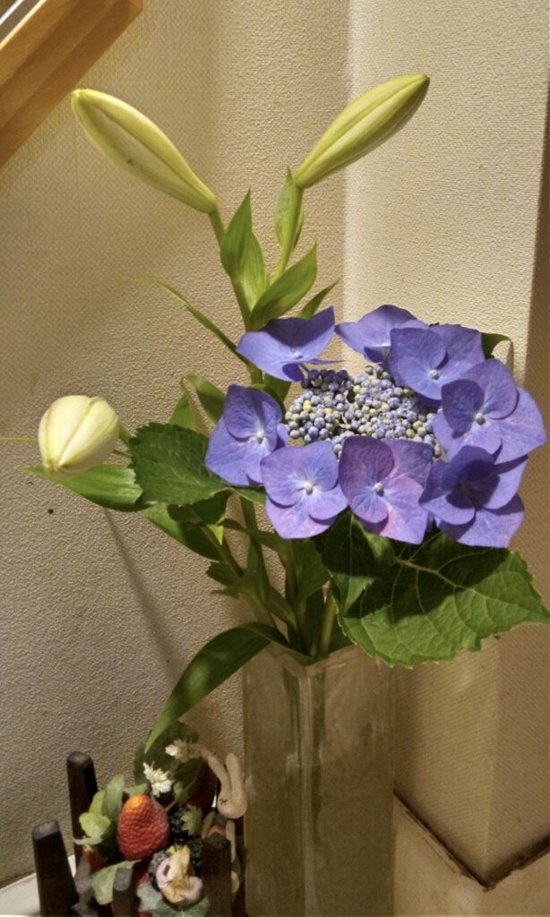 庭の紫陽花は青紫色