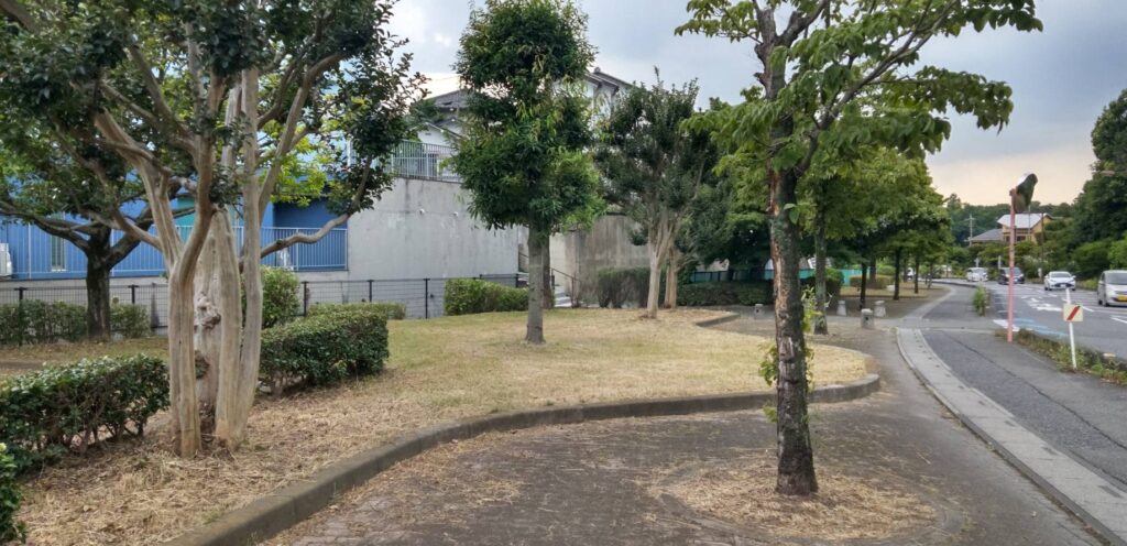 草が刈り取られきれいになった路