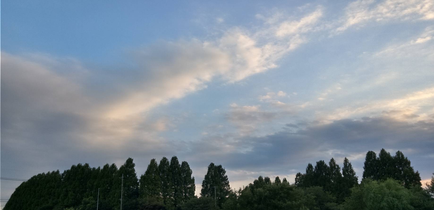 お天気が良く助かる