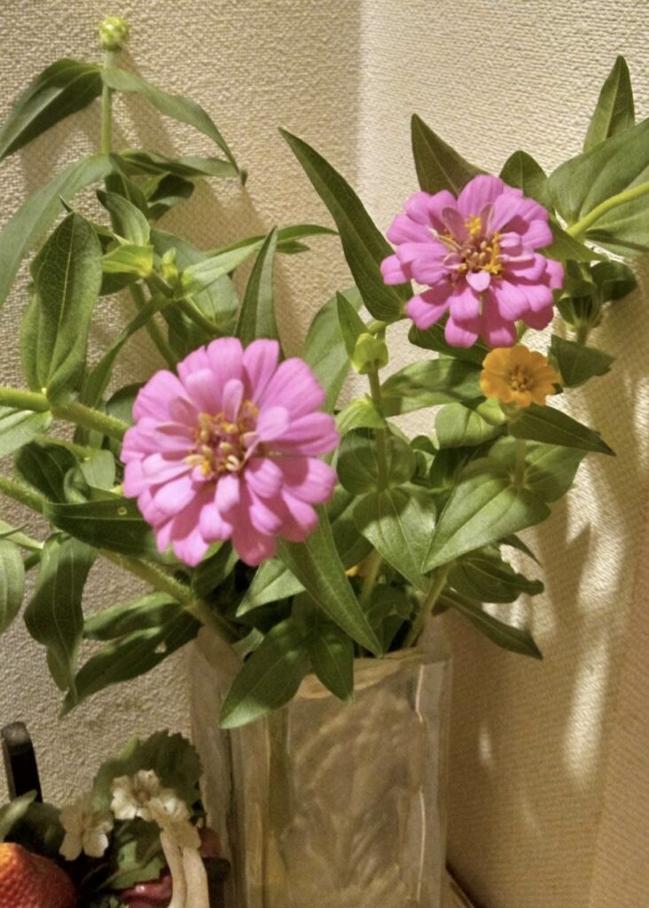 きれいな花は花瓶に
