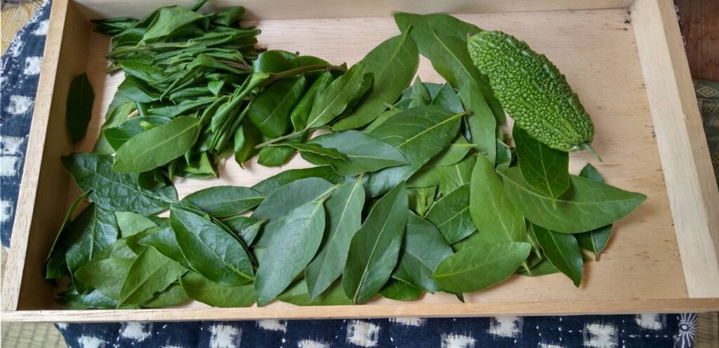 大きくなった月桂樹を伐った