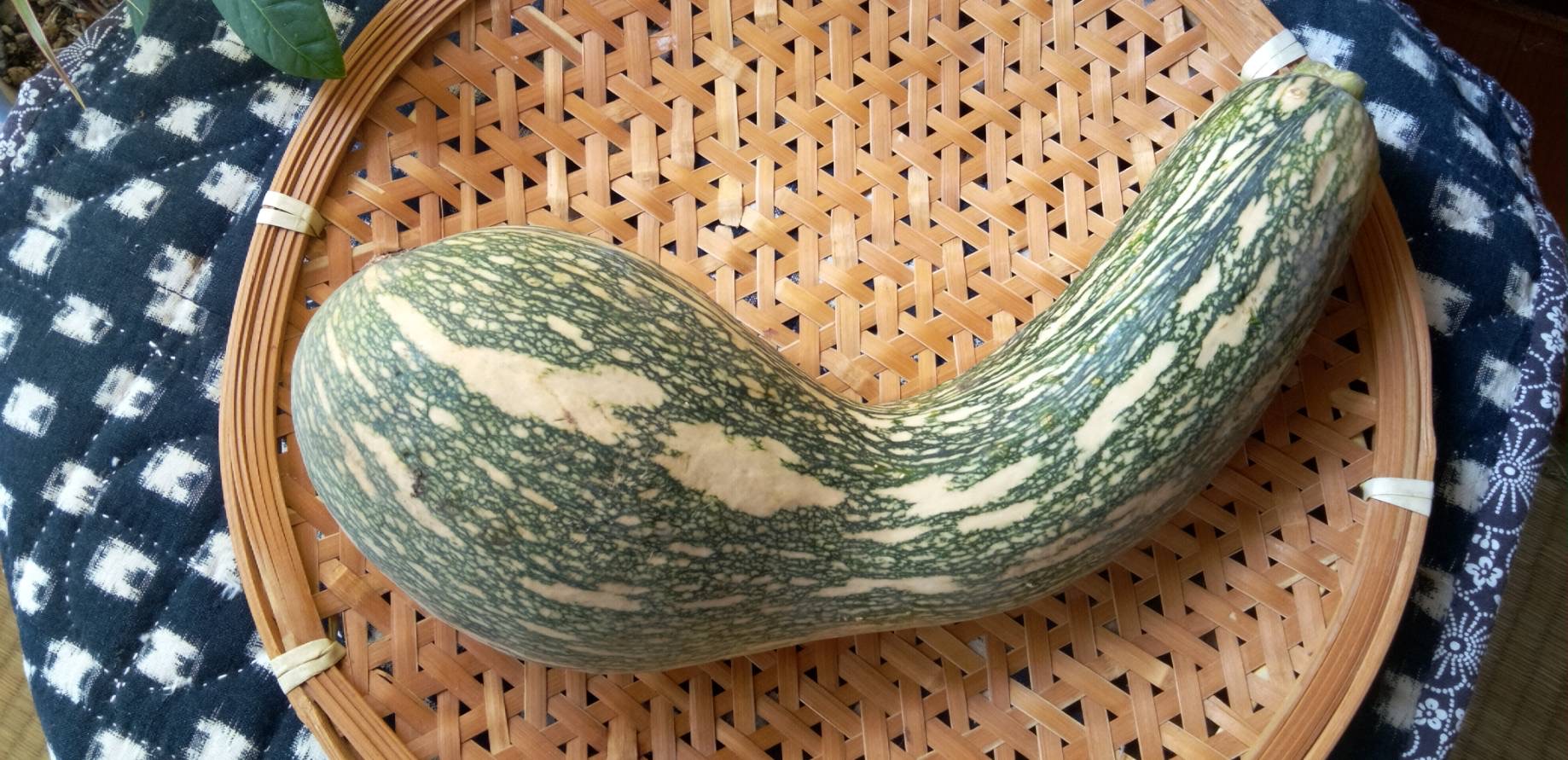 中国のカボチャ