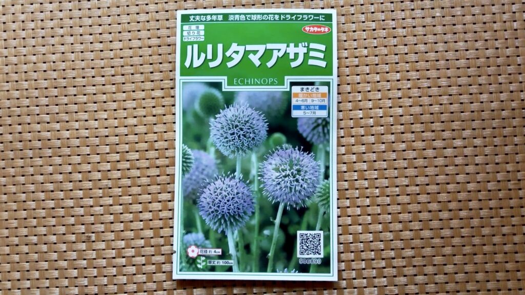 ルリタマアザミ