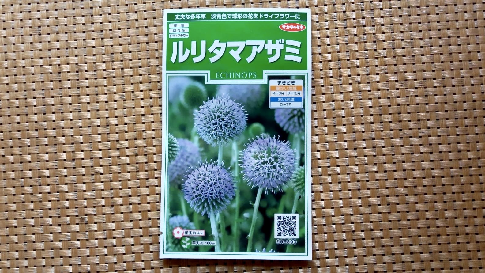 ルリタマアザミ