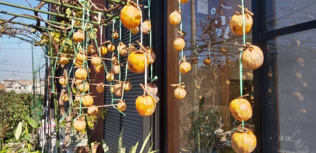 百目柿の渋が残ってるものは干し柿に