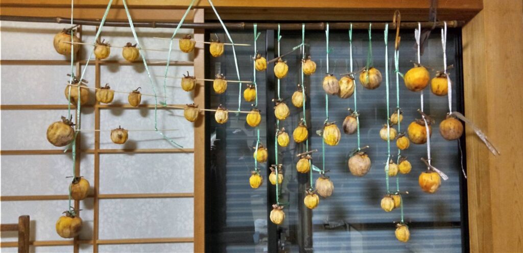 百目柿の渋が残ってるものは干し柿に