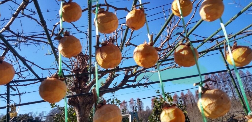 最後の干し柿作りました