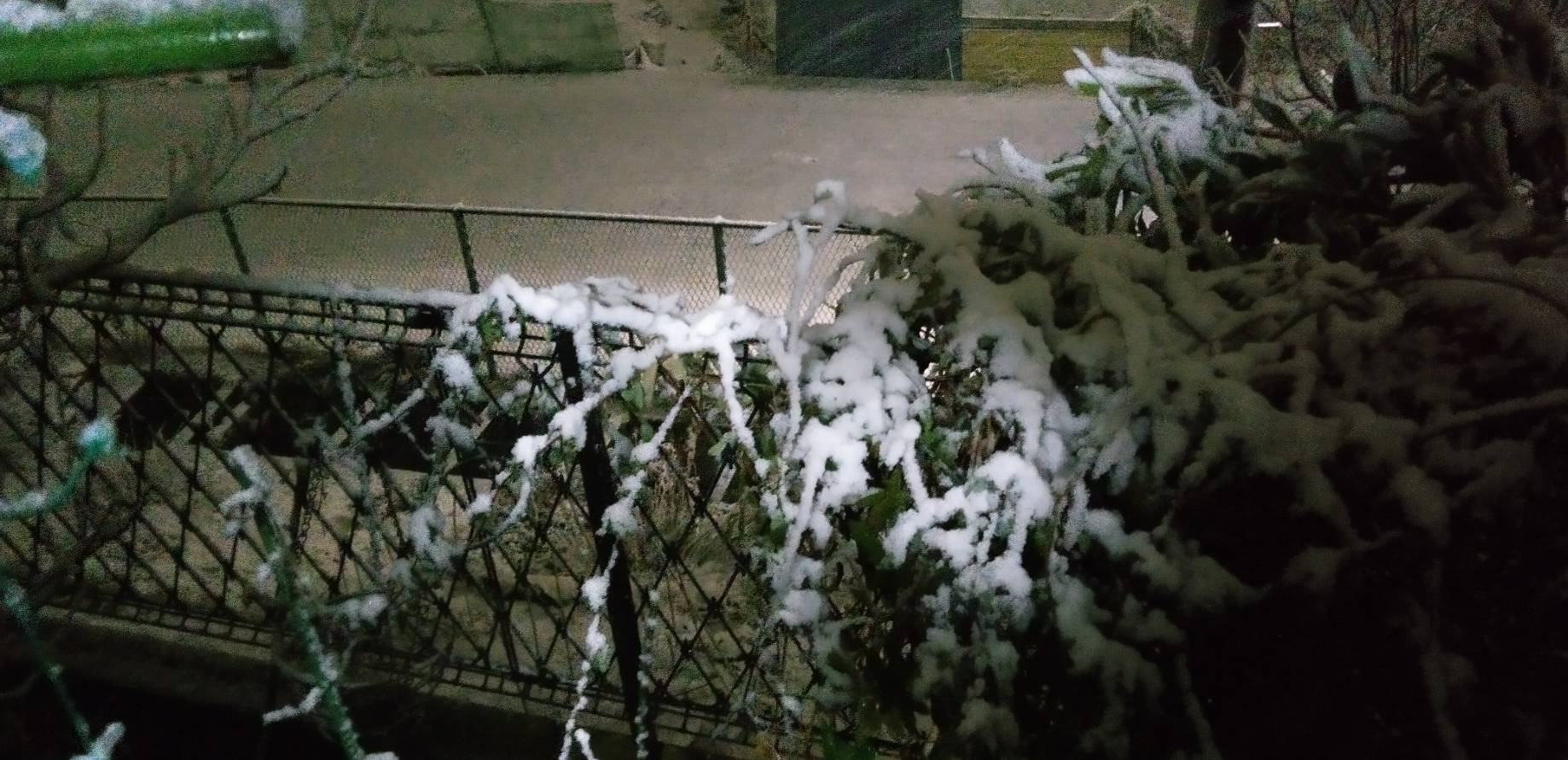 気が付いたらうっすら積もっている