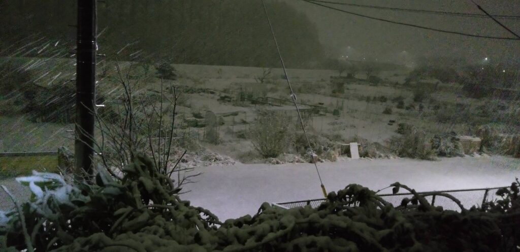 気が付いたらうっすら積もっている