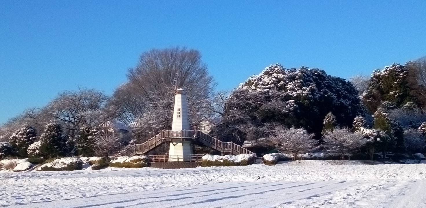 畑まで真っ白・雪景色