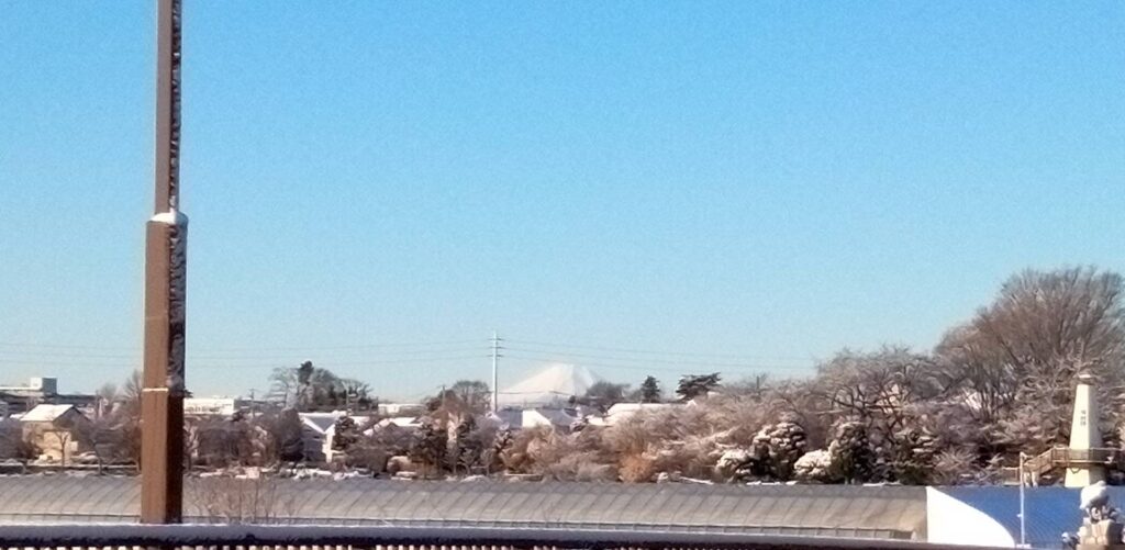 畑まで真っ白・雪景色