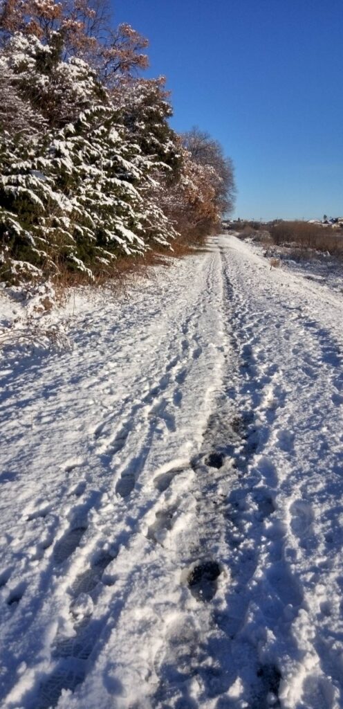 朝は道が凍って足元が危なかった