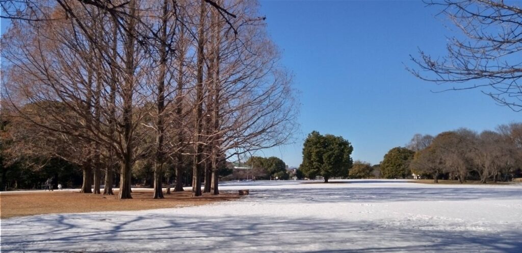 公園にまだ雪が残っていた