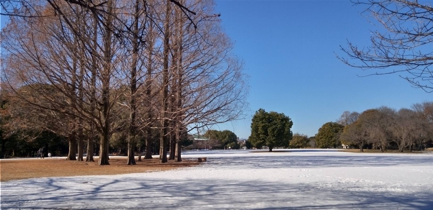 公園にまだ雪が残っていた