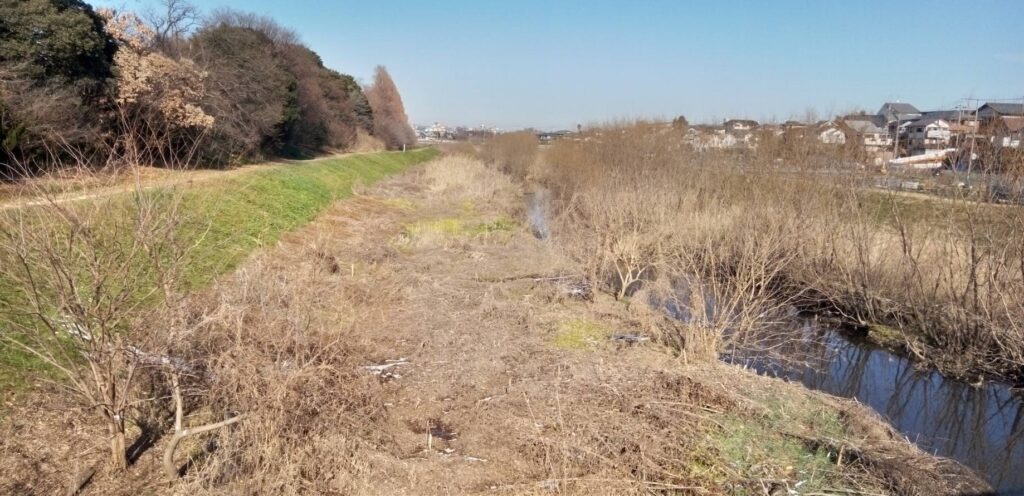 前の川の土手にはショベルカーが