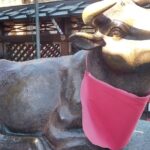 湯島天満宮の牛さん