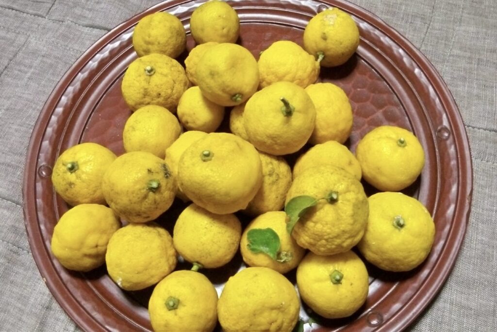 スダチがまだ木に成ってた