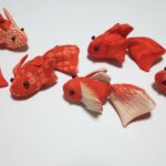 金魚6体創りあげました