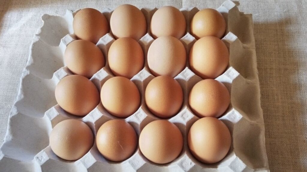 茶玉子が届いた