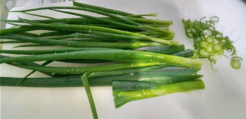 今年初のわけぎを収穫