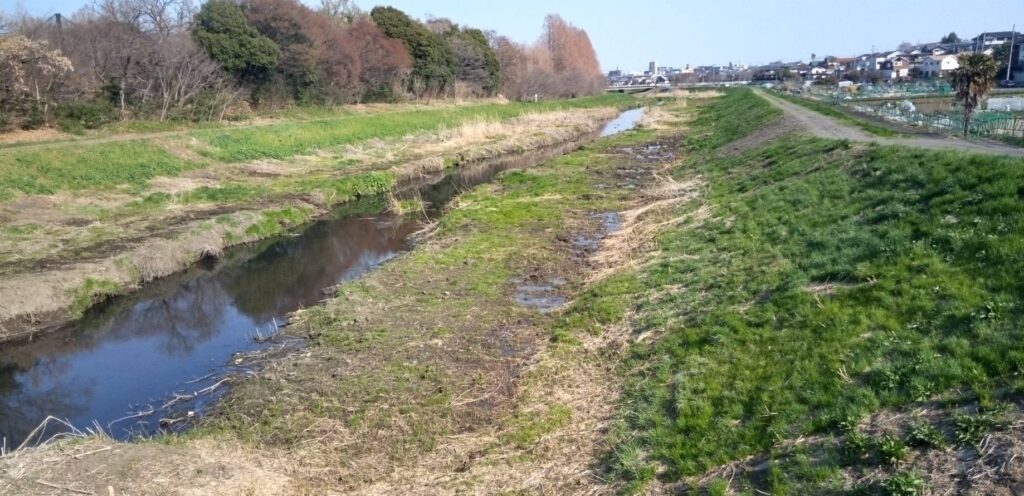 川に生えてた木々もきれいに引き抜かれ