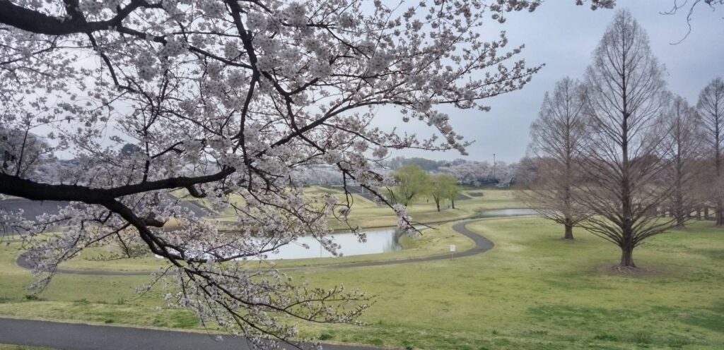 ひょうたん池まで散歩