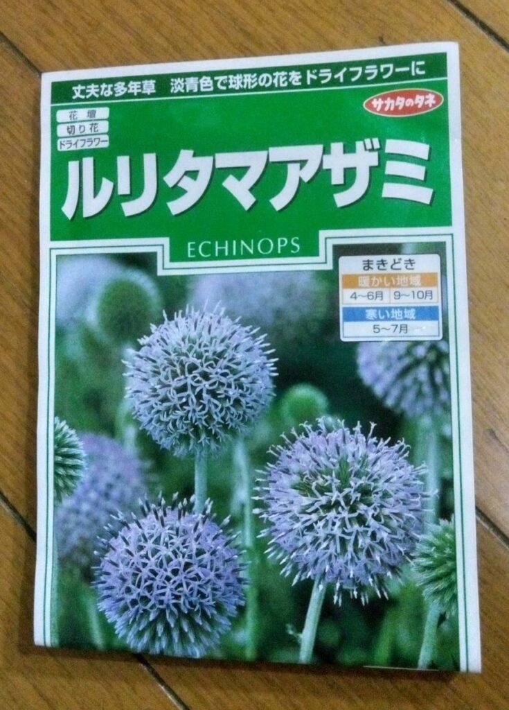 ルリダマアザミ