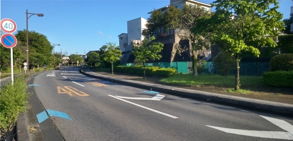 雨上がりの街路樹