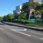 雨上がりの街路樹