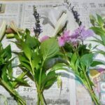 畑の花たちを摘んで墓参り