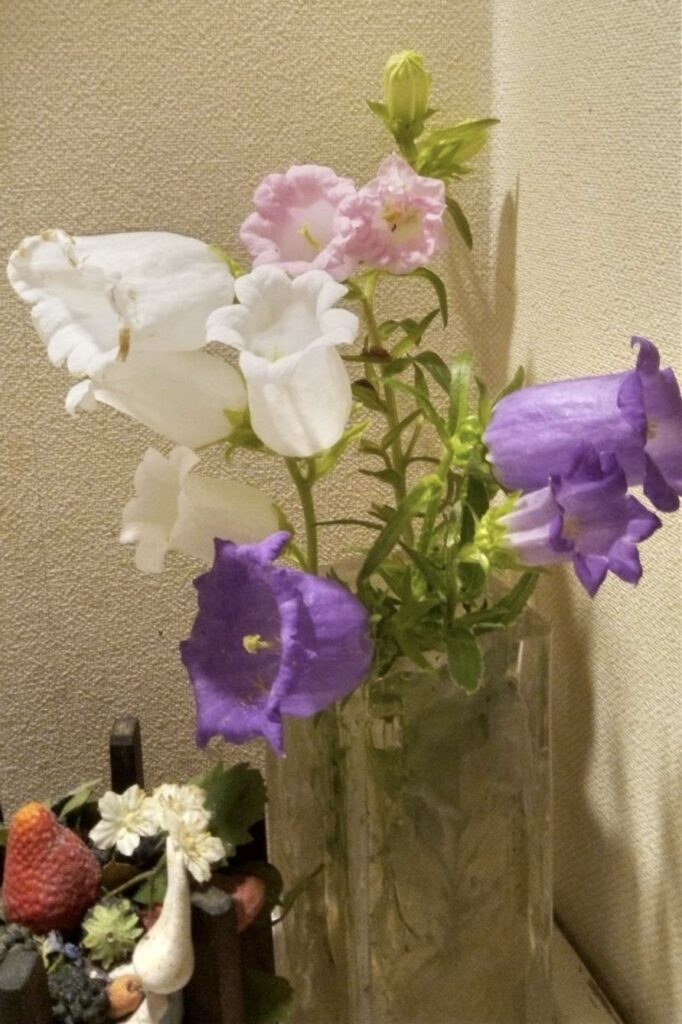 ふうりん草は咲き終わり