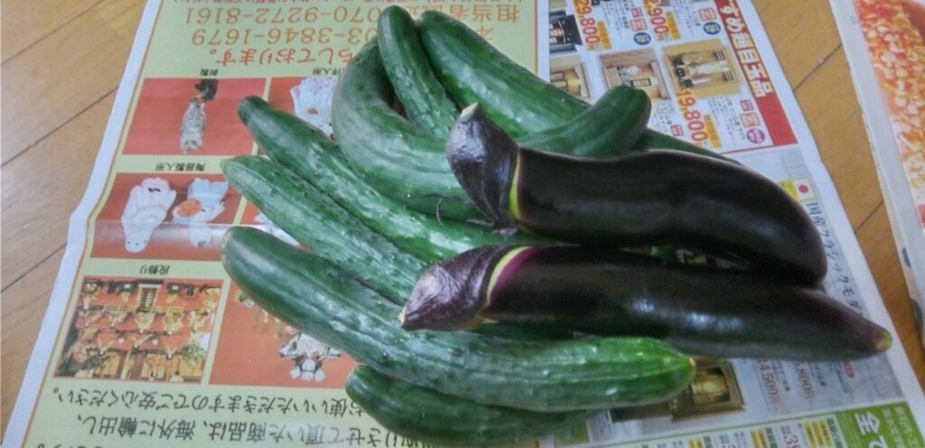 頂いたきゅうりとなす
