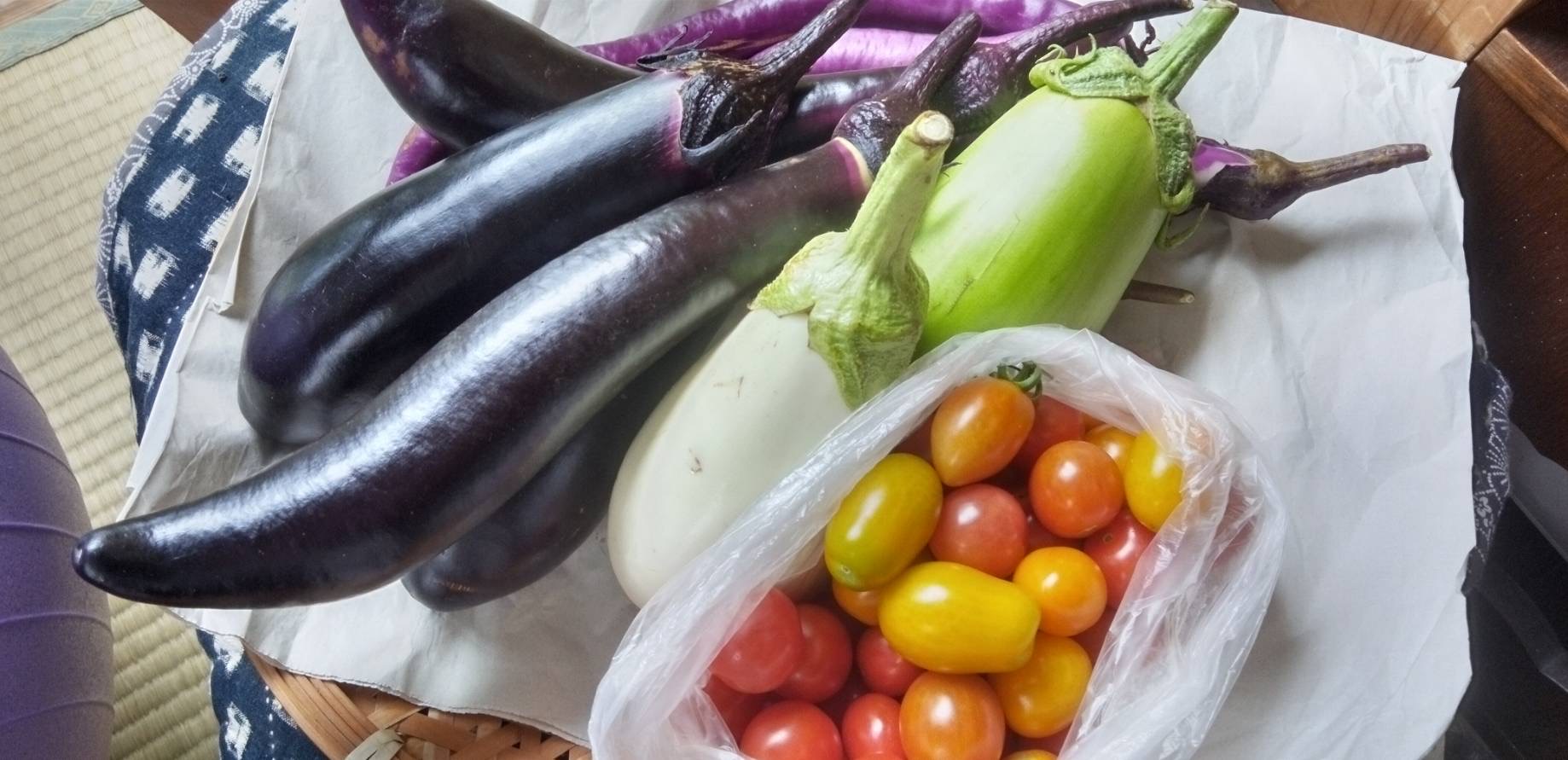 たくさんのお野菜頂きました