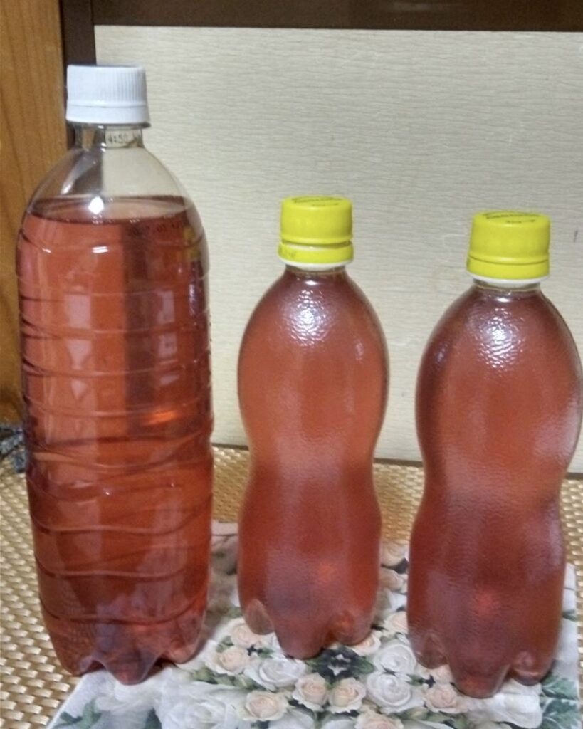 紫蘇ジュースを作りました