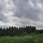 嵐の前の静けさ