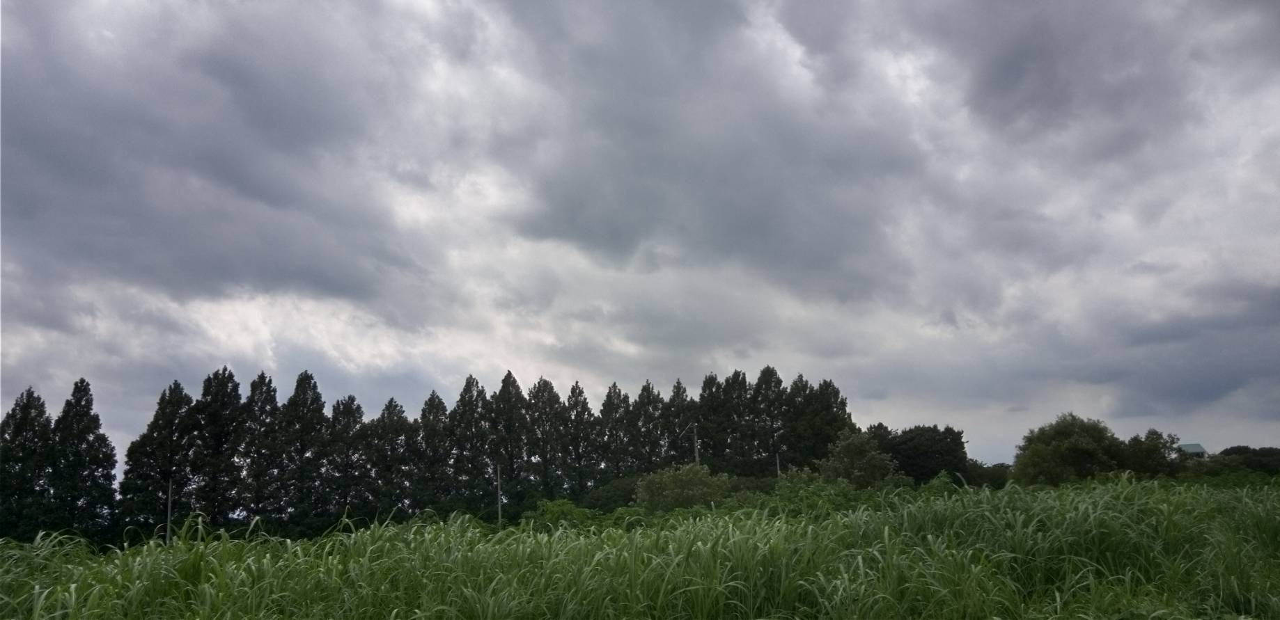 嵐の前の静けさ