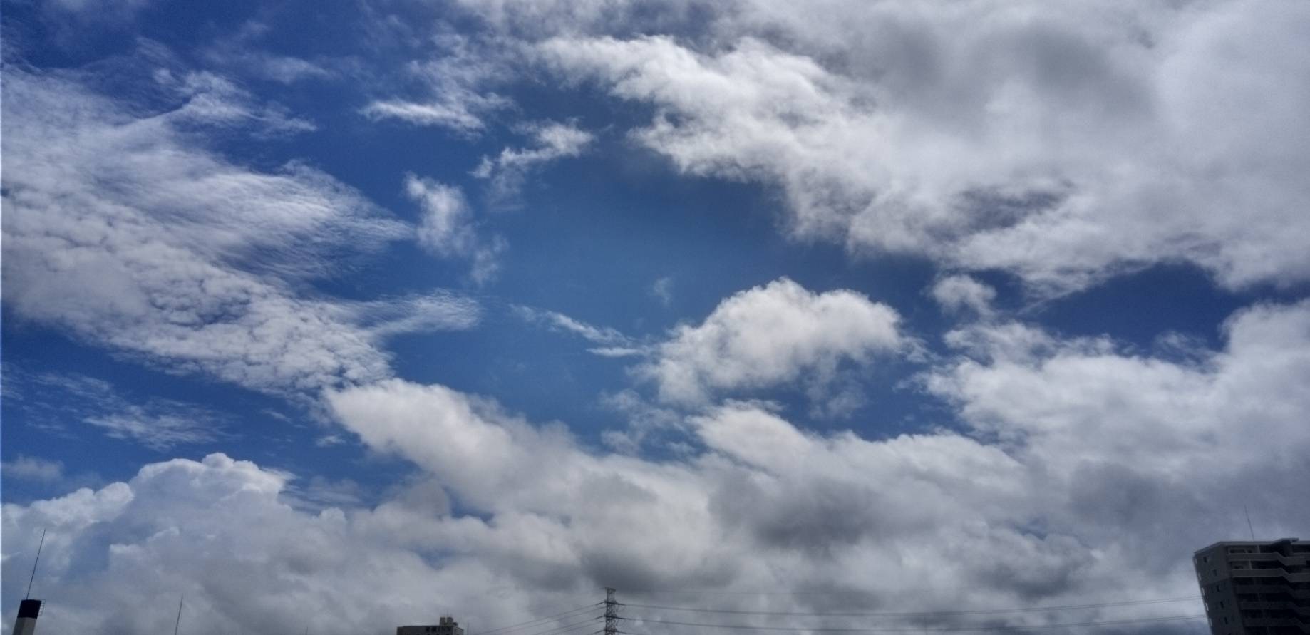 お盆のお墓参り