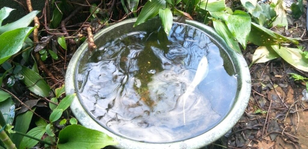 空だったのに満杯に水が