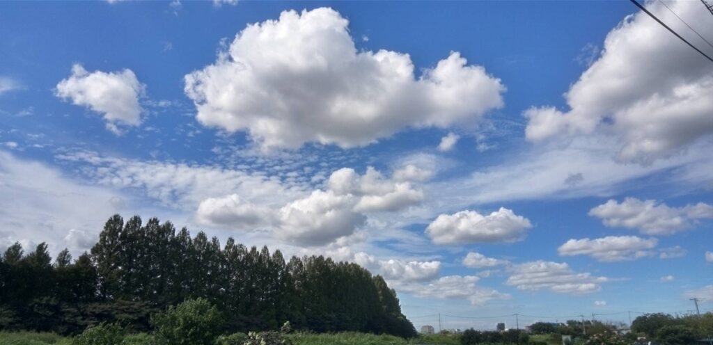 久しぶりの青空