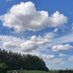 久しぶりの青空