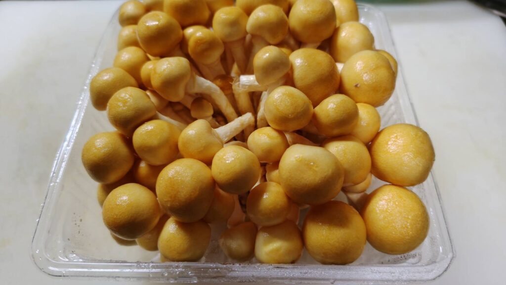 美味しそうなナメコを買って来た