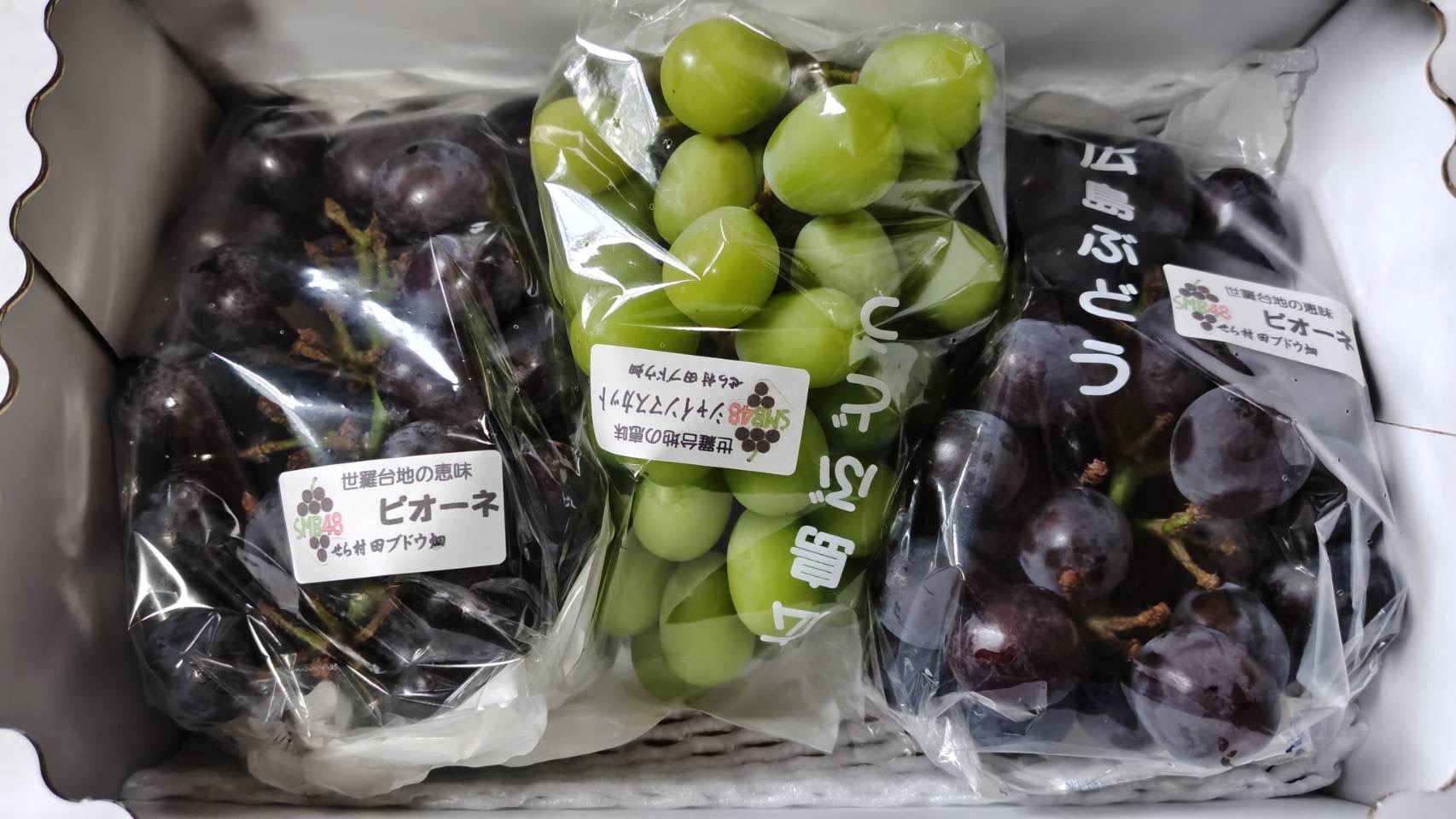 立派なぶどう